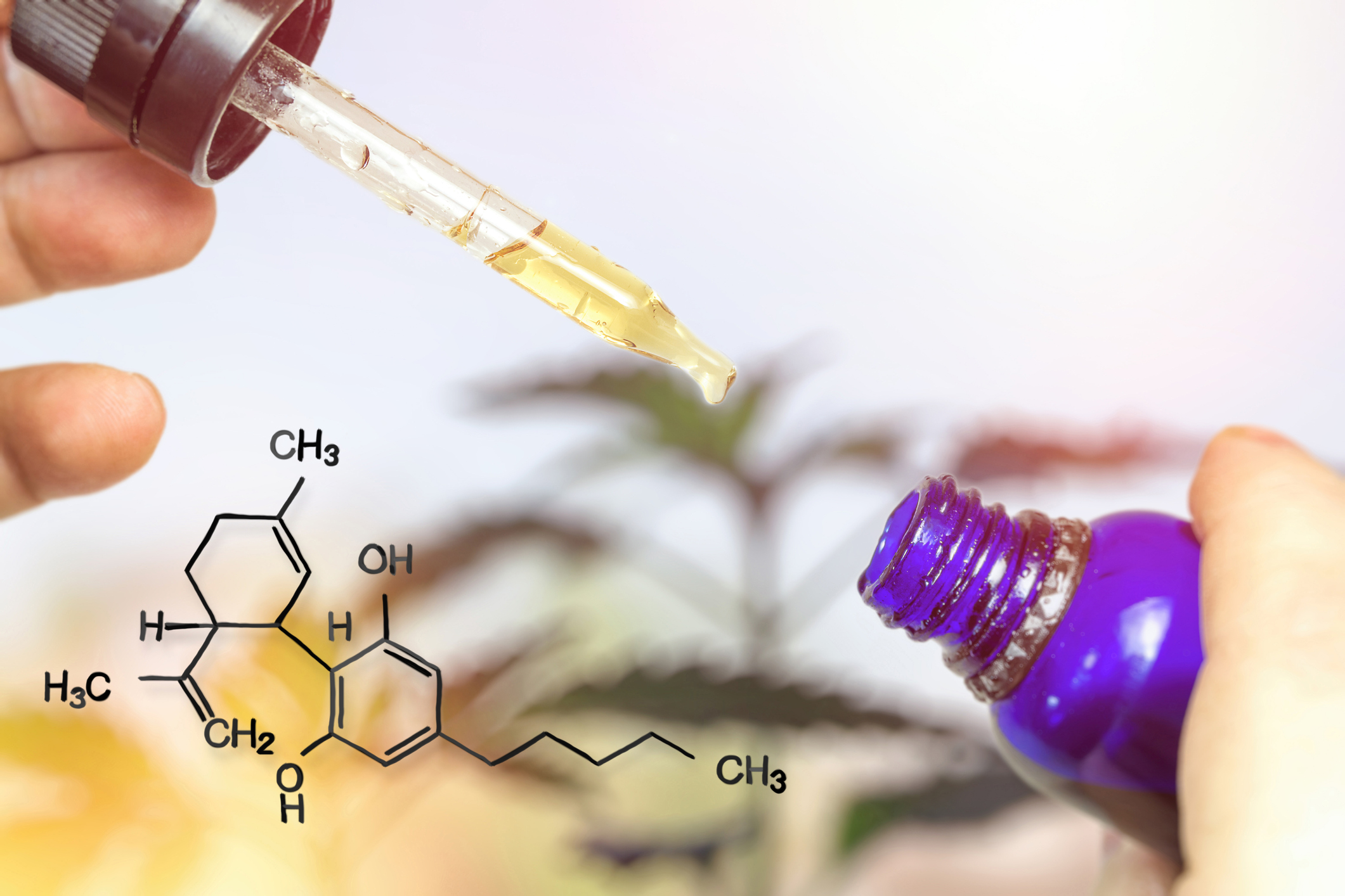 Hemp Inc. Signs Letter of Intent to Purchase CBD Ingredients from One World Pharma, SAS in Colombia
