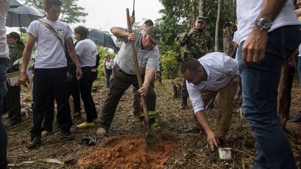 Warren Buffett’s son helps Colombia kick cocaine curse
