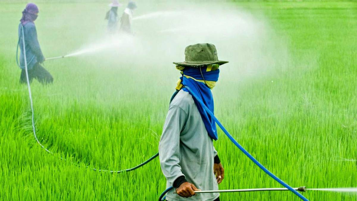 ¿El uso del glifosato causa cáncer?  Esto responde la AGG