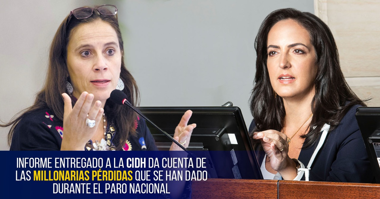 Informe a la CIDH da cuenta de las millonarias pérdidas que se han dado durante el Paro Nacional